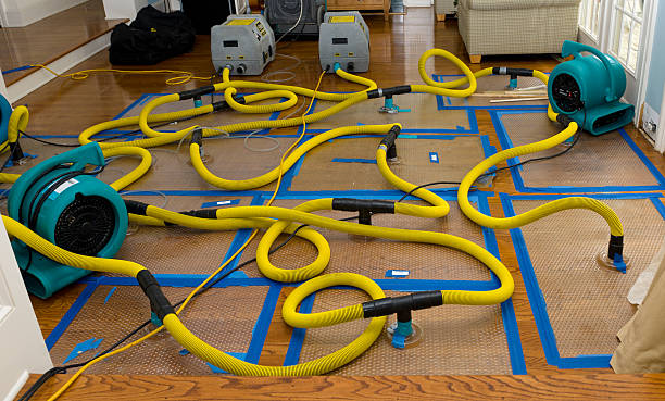 Professional Crawl Space Water Removal technician working in Pinon, AZ
